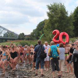Zum 20. Mal fand das traditionelle Elbeschwimmen statt. Foto: Pohl