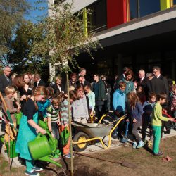 Viele kleine und große Leute halfen dabei, die Zierweide vor dem neuen Gebäude der Montessorischule »Kilaloma« einzupflanzen. Foto: Pohl