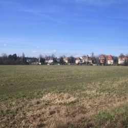 Viel grün zwischen Laubegast und der Toeplerstraße in Tolkewitz. Durch den Altelbarm soll eine Umleitungsstrecke führen. Foto: Ziegner