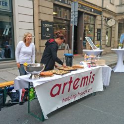 Ein leckeres Buffett und viele Informationen halten die Frauen vom Verein artemis auch zur Langen Nacht der Wissenschaften bereit. Foto: privat