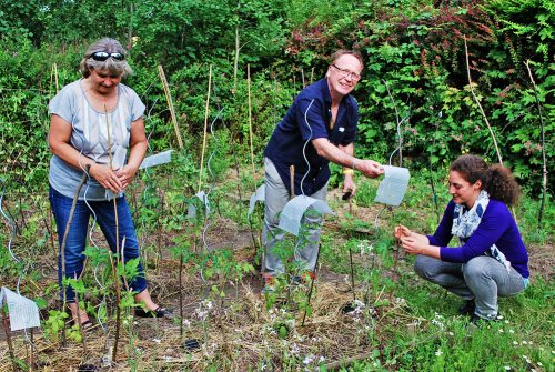 Julia Leuterer (rechts) sowie Peter und Ute bei der Gartenarbeit. Foto: Claudia Trache