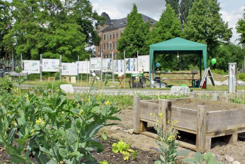 Beete und Pläne zum 2. Tag der Städtebauförderung in Löbtau am 21. Mai. Foto: © Kulturingenieur Felix Liebig, Löbtauer Runde