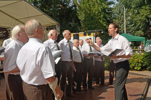 Warfen sich mächtig ins Zeug: Die Herren vom Männergesangsverein Wilschdorf sorgten für den stimmgewaltigen Auftakt zum inzwischen 6. Königswalder Forst- und Weinfest. Foto: Möller