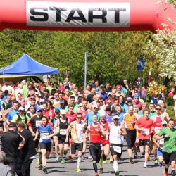 Start Beim Lauf in den Frühling. Foto: Hains