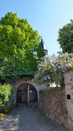 Mit der Christophoruskirche hat Wilschdorf die älteste Kirche Dresdens. Foto: PR