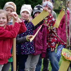 Kinder pflanzten Einen Apfelbaum für den Neuen Annenfriedhof. Foto: Verband der Annenfriedhöfe Dresden