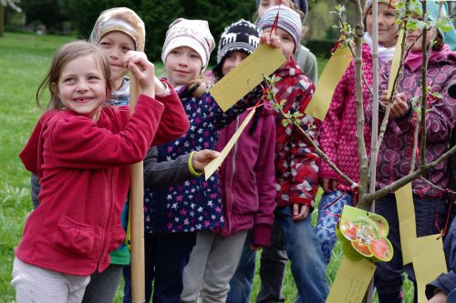 Kinder pflanzten Einen Apfelbaum für den Neuen Annenfriedhof. Foto: Verband der Annenfriedhöfe Dresden