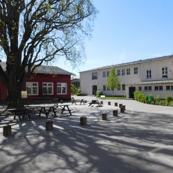 Schulgelände der 47. Grundschule. Foto: Ziegner