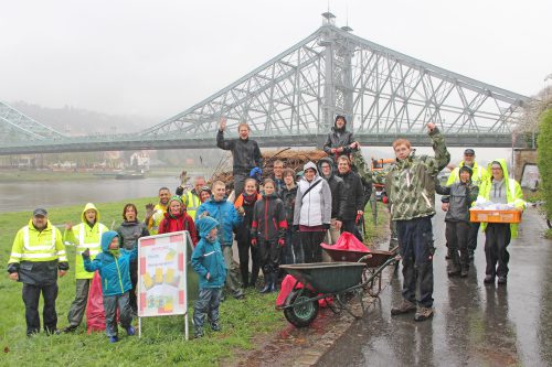 Regen und Kälte konnten die Enthusiasten nicht aufhalten, im Wäldchen am Elbufer aufzuräumen. Foto: Pohl