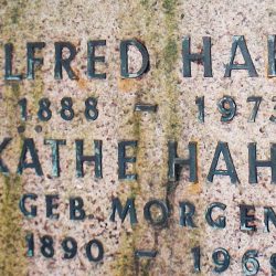 Das Grab von Alfred Hahn ist nicht mehr vorhanden. Foto: Brendler