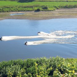 Sommerspektakel: Die Elbe ist vor allem im Sommer ein wahrer Magnet für Freizeitvergnügen aller Art. Dabei wird der Fluss selbst auch zur Bühne für manche Akteure. Die einen rasen übers Wasser, die anderen paddeln geruhsam, manch einer schwimmt sogar. Da kommt keine Langeweile auf. Foto: Pohl