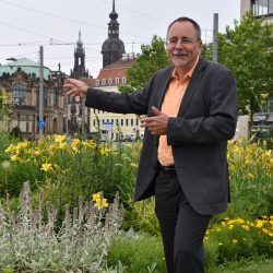 André Barth freut sich über grüne Oasen in der Altstadt – wie hier auf dem Postplatz. Foto: Möller