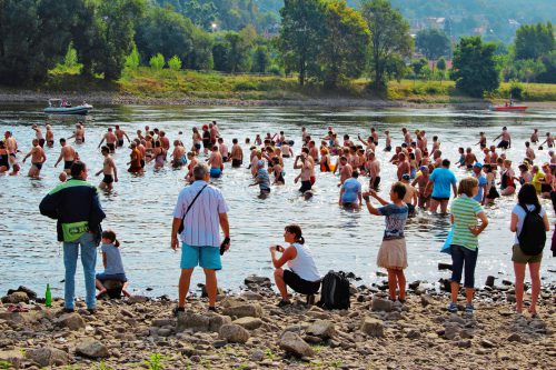 Ein Blick ins Archiv: Bereits 2015 erfreute sich das Elbeschwimmen größter Beliebtheit. Foto: Pohl