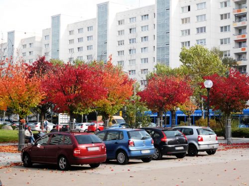 Prohlis wird bunt – im wahrsten Sinne des Wortes. Maler Herbst hat in den großen Farbtopf der Natur gegriffen und sorgt für ein abwechslungsreiches Stadtbild. Erfreuen Sie sich daran, bevor die Blätter fallen und graue Nebel wallen. Foto: Ziegner