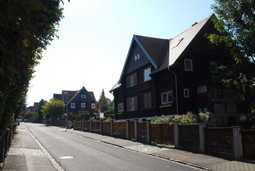 Blick in die Naußlitzer Holzhaussiedlung. Foto: Claudia Trache