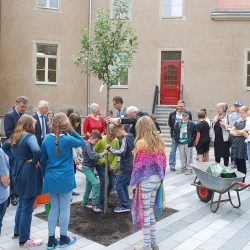 Schüler, Lehrer und Gäste pflanzten zur Erinnerung an die Schuleröffnung einen Baum. Foto: Trache