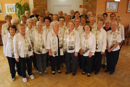 Mit ihren Liedern sorgen die Chormitglieder auch in der Vorweihnachtszeit für viel Freude. Foto: Trache