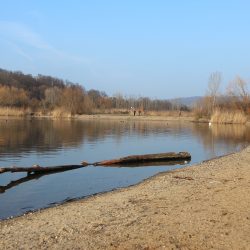 Der Kiessee in Leuben hat auch im Winter seine Reize. Er lockt Spaziergänger, Radfahrer, Hundebesitzer. Beim Rundgang lassen sich Enten, Schwäne und Vögel beobachten. Wird das Naturidyll zum Badeparadies, wie es die »Zukunft Stadtgrün« verheißt? Künftig soll auch vom heute dicht bewachsenen Trümmerberg (links im Bild) ein wunderbarer Rundblick von einer Aussichtsplattform möglich sein. Foto: Pohl