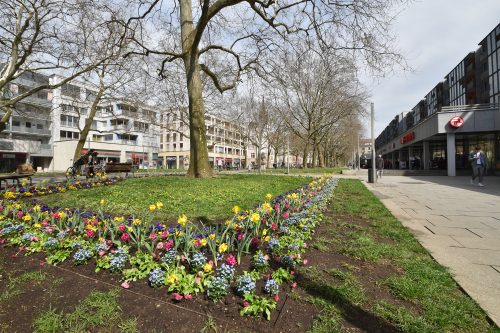 Als Blühende Einkaufsmeile präsentiert sich die Hauptstraße in diesen Tagen. Foto: Möller