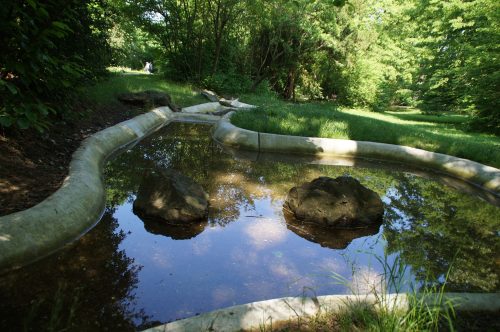 Der sanierte Teichanlage im Fichtepark. Foto: Steffen Dietrich