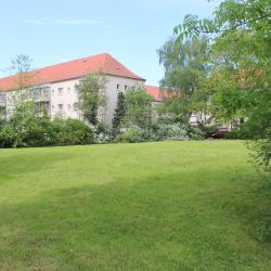 An der Ulmenstraße soll der erste Neubau errichtet werden. Foto: Pohl