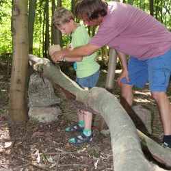 Treffpunkt Spitzahorn-Wäldchen: Beim Waldfest am 28. Mai 2018 zeigte Holzgestalter Karsten Seifert dem Ferdinand den Umgang mit dem Werkzeug, damit aus dem Baumstamm eine Murmelbahn wird. Foto: Pohl