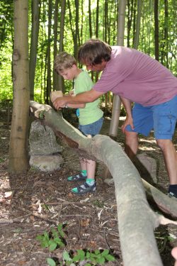 Treffpunkt Spitzahorn-Wäldchen: Beim Waldfest am 28. Mai 2018 zeigte Holzgestalter Karsten Seifert dem Ferdinand den Umgang mit dem Werkzeug, damit aus dem Baumstamm eine Murmelbahn wird. Foto: Pohl