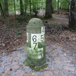 Die Saugärten in der Dresdner Heide sind seit jeher ein begehrtes Ausflugsziel gewesen. Foto: Ullmann