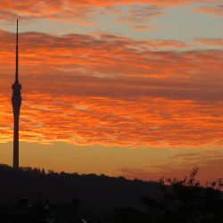 Morgendämmerung für den 252 Meter hohen Fernsehturm? Für das Dresdner Wahrzeichen werden Gelder in Aussicht gestellt, um Bauarbeiten zu fördern, die für eine Wiedereröffnung notwendig sind. Das weckt Hoffnung, den Turm nicht nur aus der Ferne bestaunen sondern ihn selbst begehen zu können. Foto: Pohl