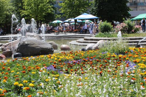 Lieblingsplatz Findlingsbrunnen. Foto: Pohl