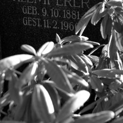 Friedhof Dölzschen. Foto: C. Fritzsche