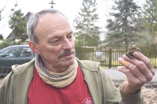 Jahr für Jahr hilft Rentner Lothar Edelmann dem Kleingetier dabei, sicher über die Straße zu kommen. Foto: Möller