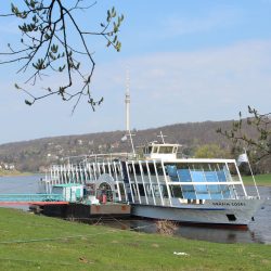 Das Salonschiff »Gräfin Cosel« liegt zwar schon im Wasser, wird auf der Laubegaster Werft aber derzeit noch fit für die Hauptsaison gemacht. Foto: Pohl