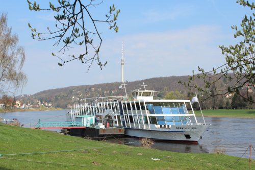 Das Salonschiff »Gräfin Cosel« liegt zwar schon im Wasser, wird auf der Laubegaster Werft aber derzeit noch fit für die Hauptsaison gemacht. Foto: Pohl