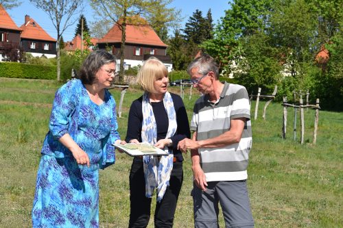 Umweltbürgermeisterin Eva Jähnigen, Landschaftsarchitektin Christine May und Vereinschef Wolfgang Gröger (v. l.) diskutieren über die Planungen für die neuen Gemeinschaftsgärten. Foto: Möller
