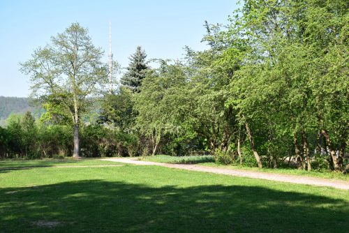 Der Toeplerpark liegt am Rand des Fördergebiets, hat aber eine wichtige Funktion, da durch ihn ein Radweg führt, der Seidnitz und Laubegast verbindet. Im Rahmen des Projektes »Blaues Band« ist eventuell auch eine Aufwertung dieser Grünfläche geplant. Foto: Trache