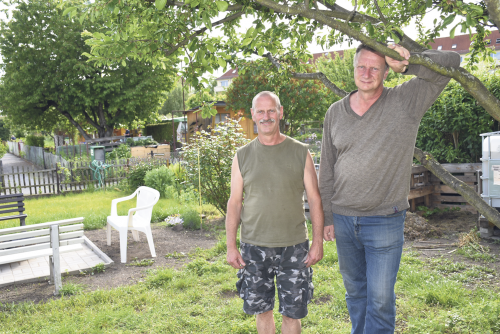 Frank Kern (r.), Chef des Organisationskomitees, und Lutz Schwenke, stellvertretender Vereinsvorsitzender, im Gemeinschaftsgarten des Kleingartenvereins „Blumenau“. Foto: Trache