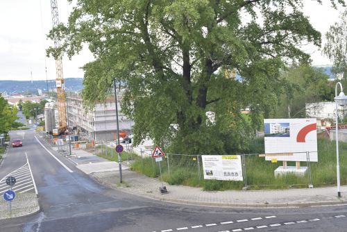 Abriss und Neubau haben den Stadtteil Nickern in den letzten 24 Jahren positiv verändert. Mehrere neue Wohnquartiere entstanden. Die Stadterneuerung gilt offiziell als abgeschlossen. Foto: Trache