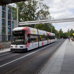 Die Linie 9 fährt auf der Oskarstraße am S-Bahn Haltepunkt Strehlen in die neu gestaltete Haltestelle ein. Seit dem 6. Juli dieses Jahres fahren die ersten Straßenbahnen. Foto: Steffen Dietrich