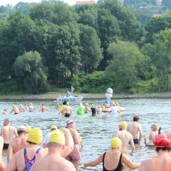 Start zum Elbeschwimmen am 4. August 2019. Foto: Pohl