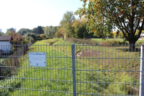 Zwischen der Kleingartenanlage an der Salzburger Straße und dem Nachwuchszentrum der SG Striesen verläuft der Altelbarm. Er soll so umgestaltet werden, dass er seiner Funktion im Hochwasserfall besser als bisher gerecht wird. Foto: Pohl