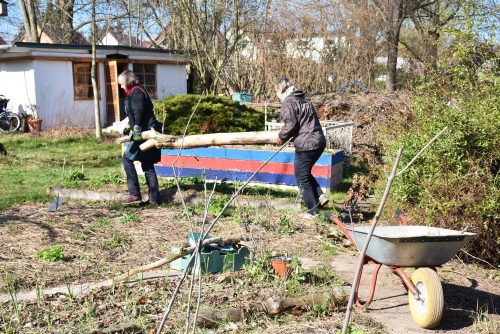 Bereits im März gibt es im Gemeinschaftsgarten Gorbitz viel zu tun. Foto: Claudia Trache