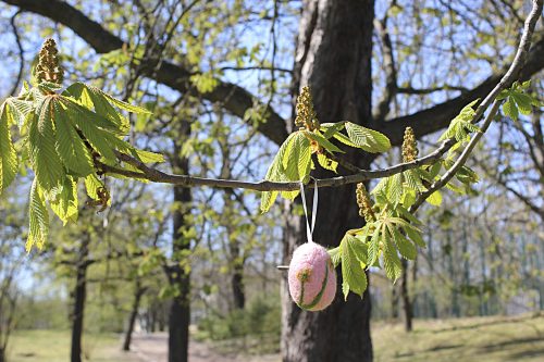 Ostergrüße. Foto: Pohl