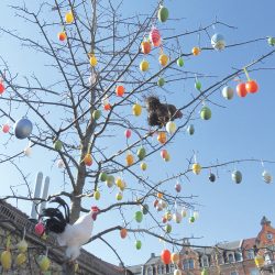 Osterstrauch. Foto: Pohl