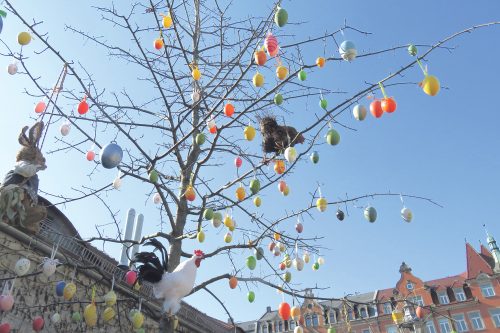 Osterstrauch. Foto: Pohl