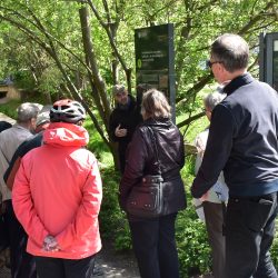 Geschichtsunterricht unter freiem Himmel: 11 Stelen geben auf dem neuen Rundwanderweg Auskunft zur Archäologie. Foto: Trache