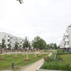 Blick auf die neuen Kräuterterrassen mit parkähnlich gestaltetem Hof. Foto: Steffen Dietrich