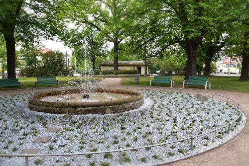 Nach ihrer Aufwertung bildet die Brunnenanlage in Laubegast einen schönen Ruhepol. Foto: Trache