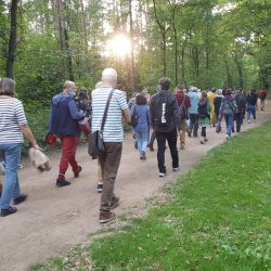 Wanderung durch den Waldpark. Foto: Pohl