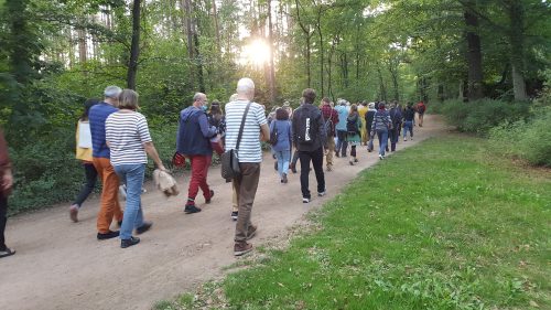 Wanderung durch den Waldpark. Foto: Pohl